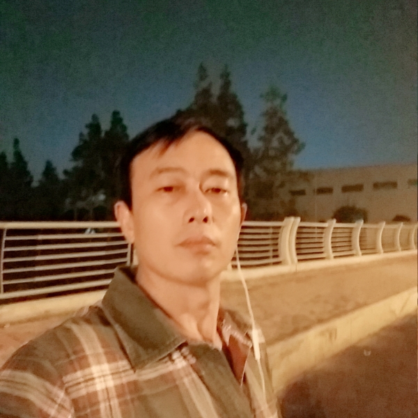 妩媚与斑马的照片