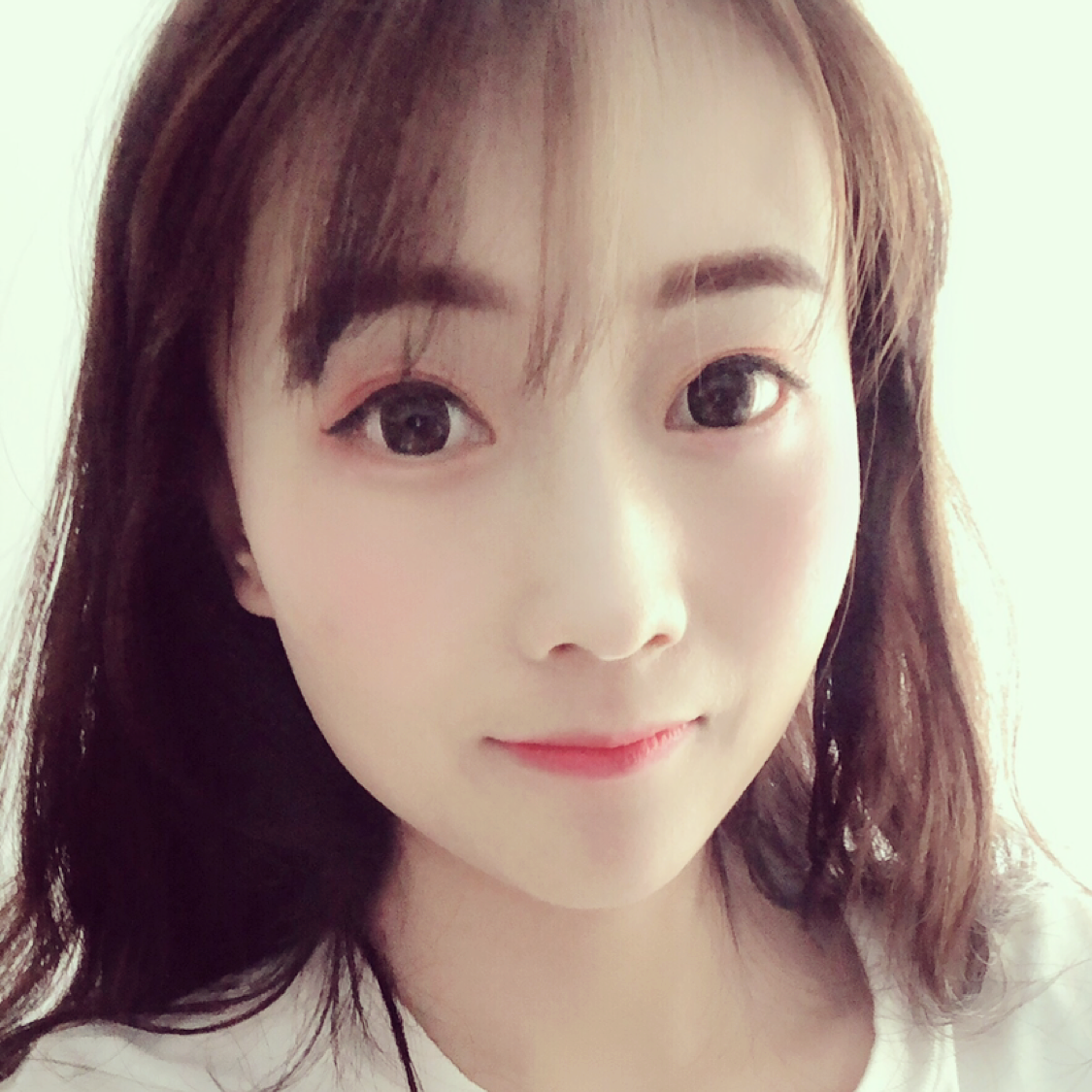 爱吃鲫鱼的狸花猫的照片