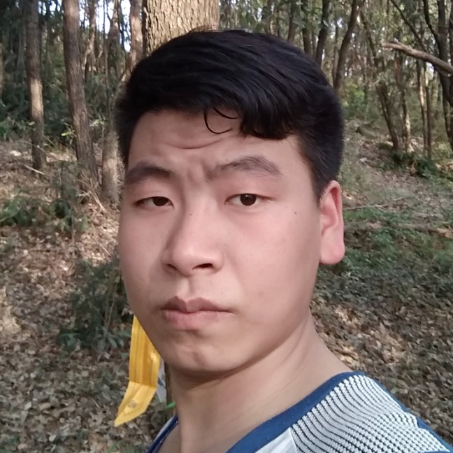 枫叶从容的照片