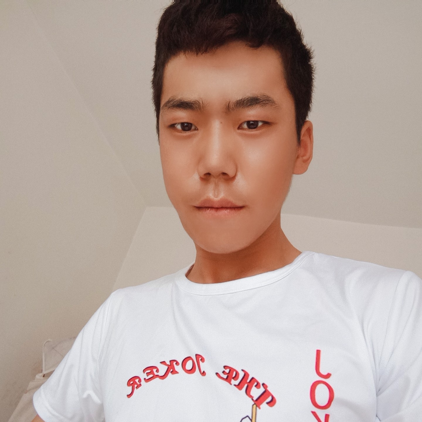 粗犷方灰狼的照片