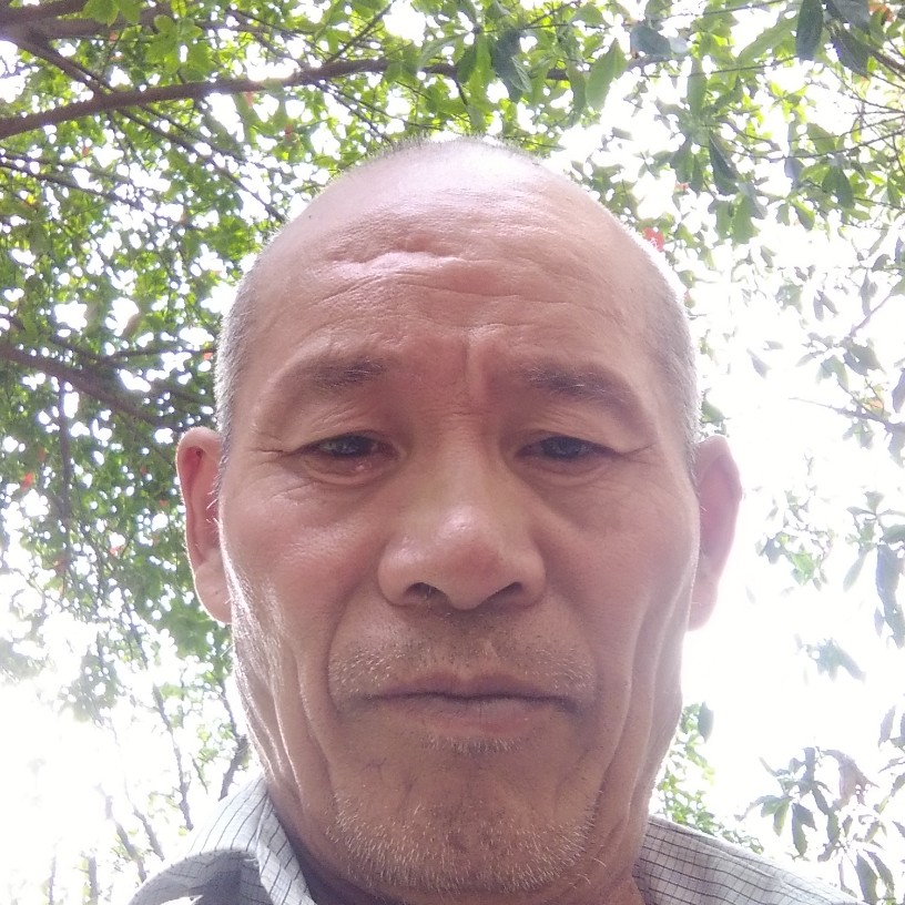 坚强笑小刺猬的照片
