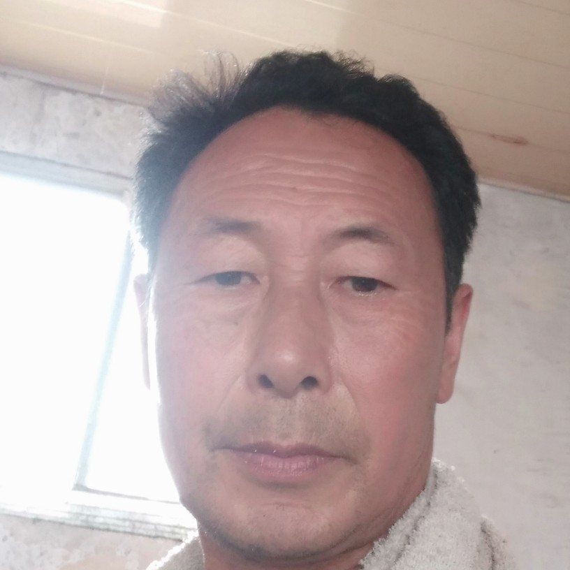 淡然的自行车的照片