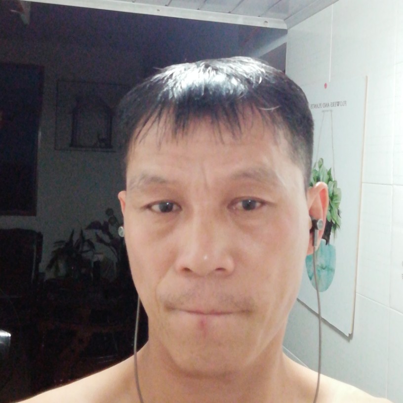 曲奇拾忆舒适的照片