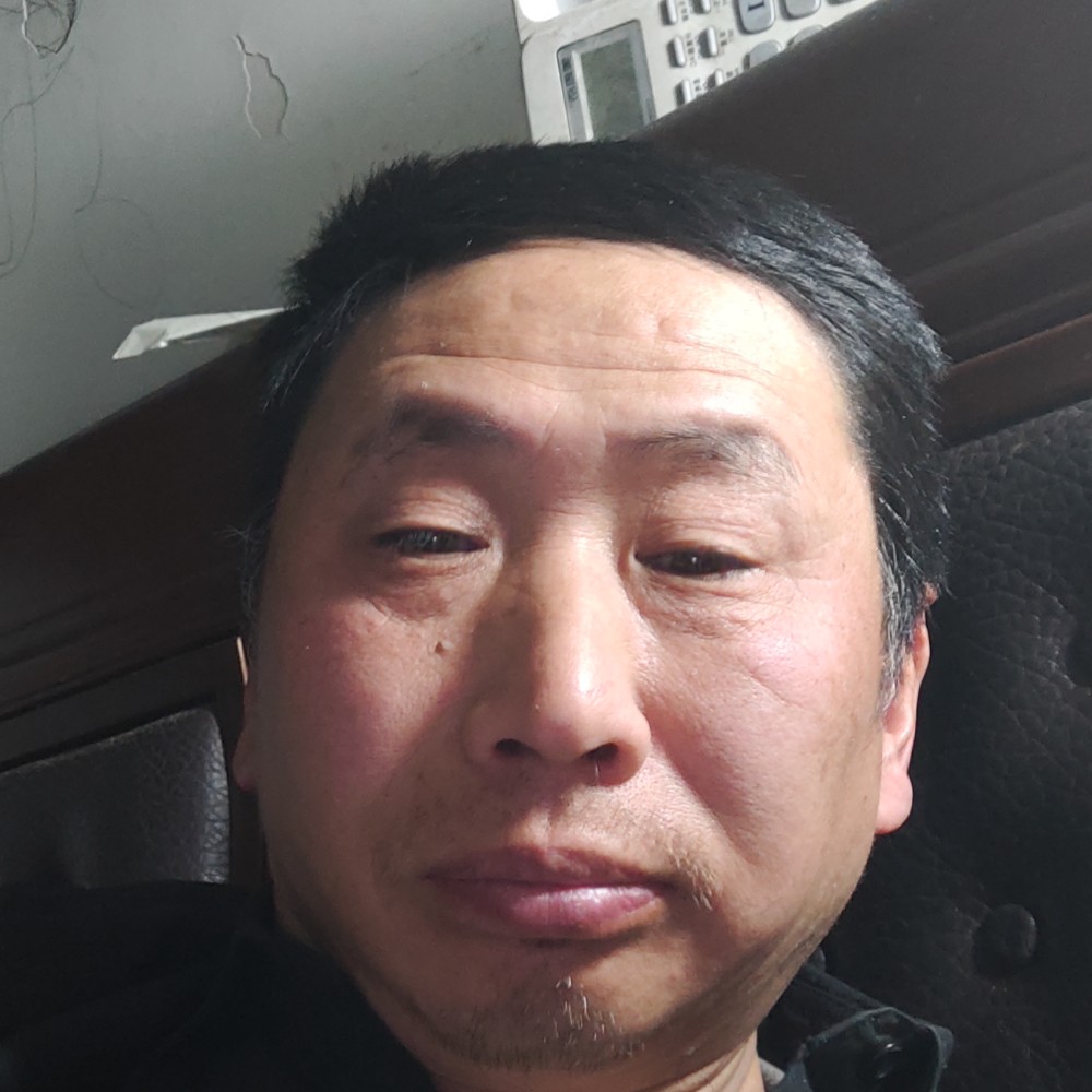 森林有情狼的照片