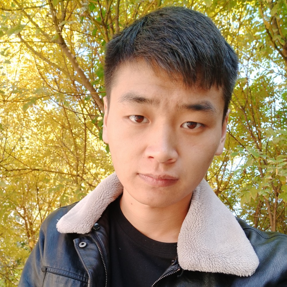 随风之年的照片