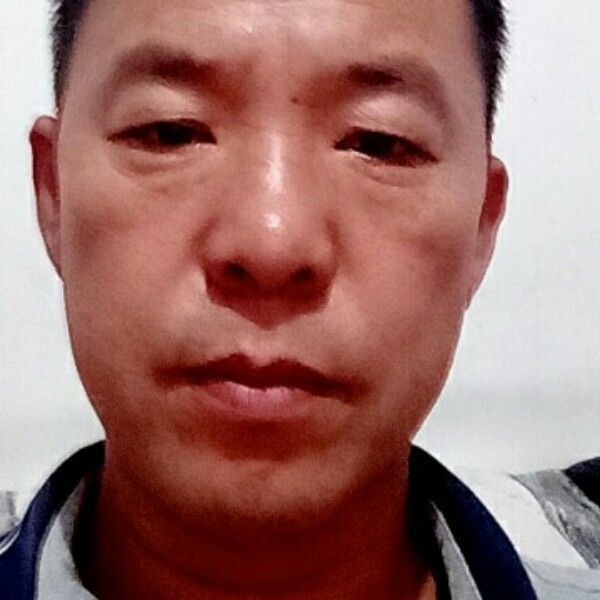 板栗说深情的照片