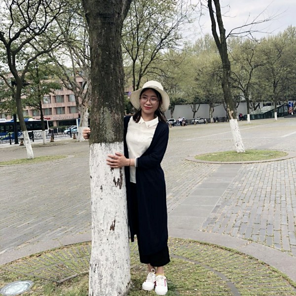 夏蝉 知了的照片