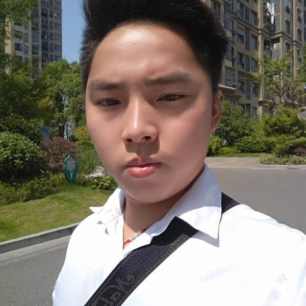 秀丽小熊猫的照片