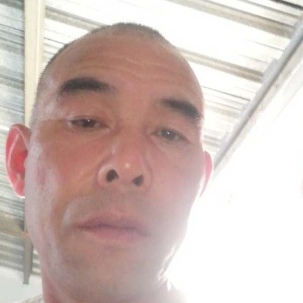 书包和淡定的照片