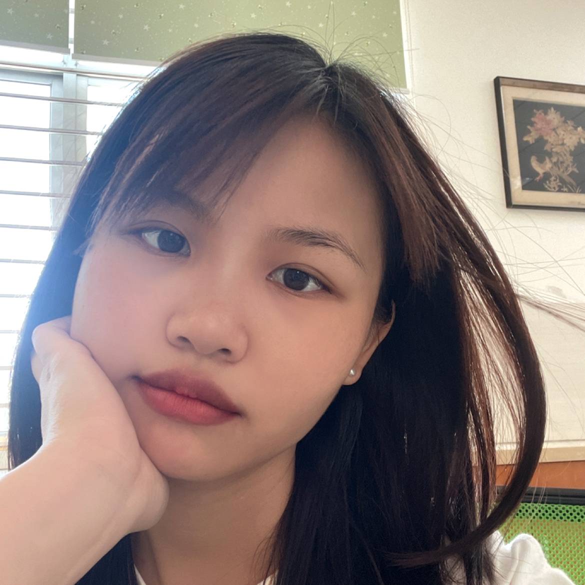-红鲤鱼与绿鲤鱼的照片