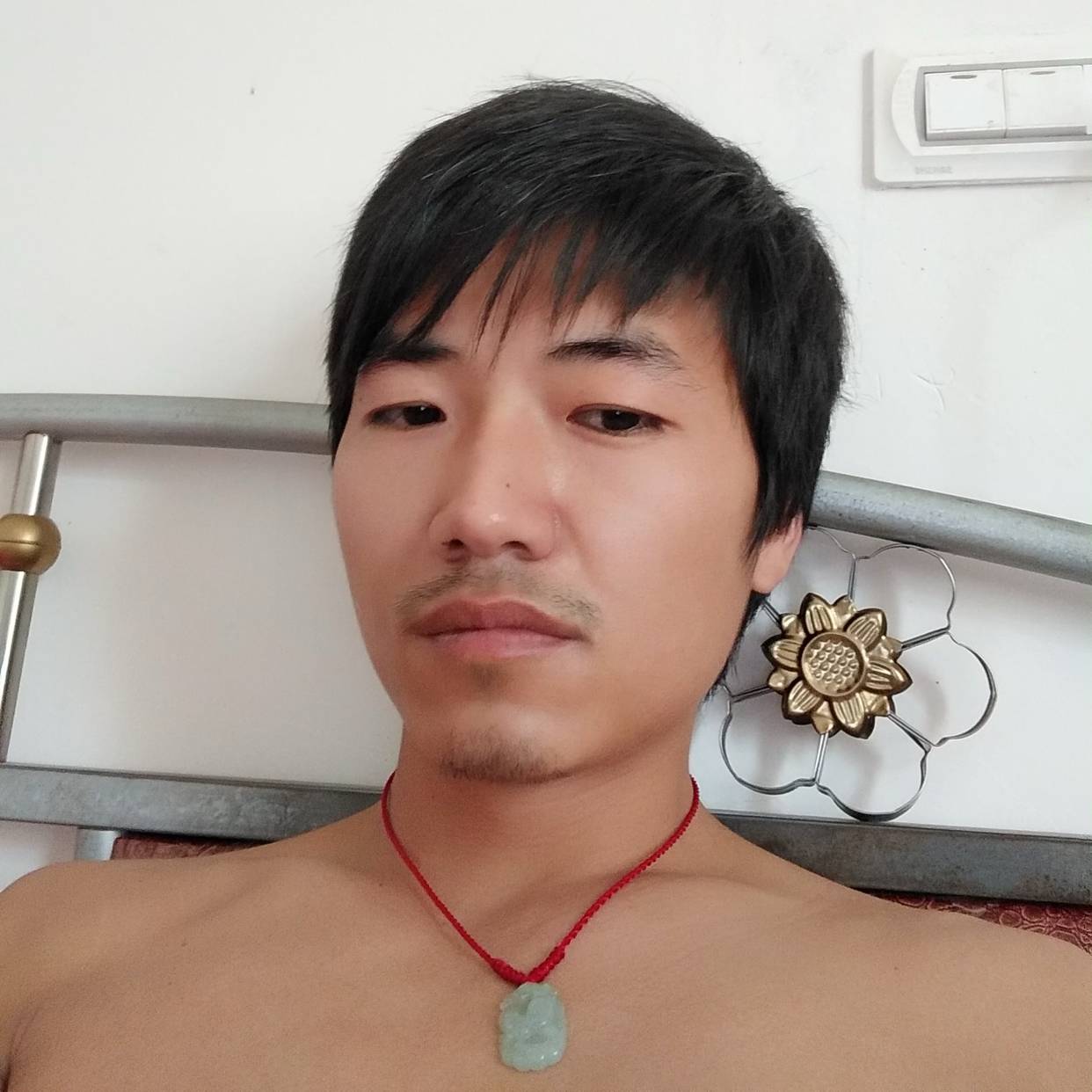 猪也很迷茫的照片