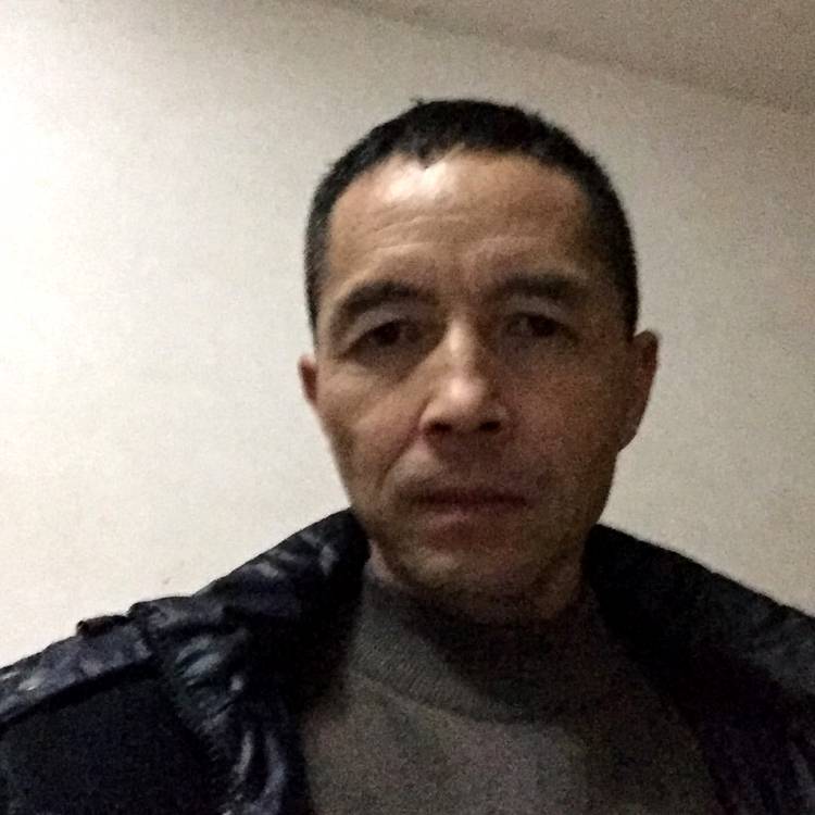 魁梧倾心秀发阳光的照片