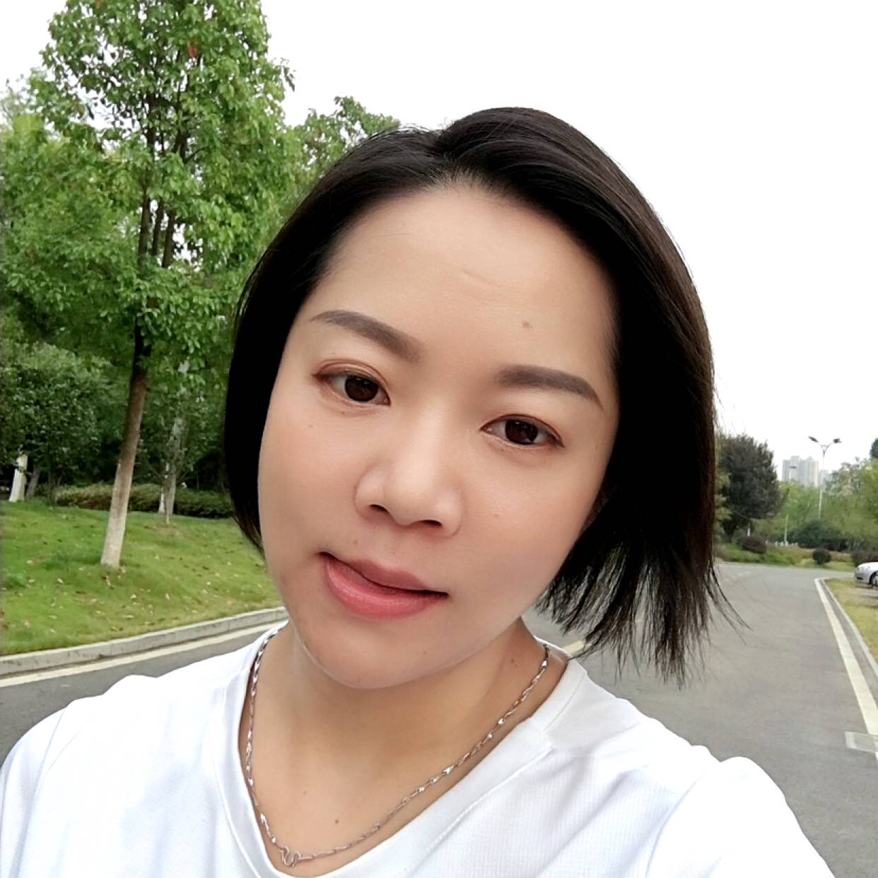 现实迎书本的照片