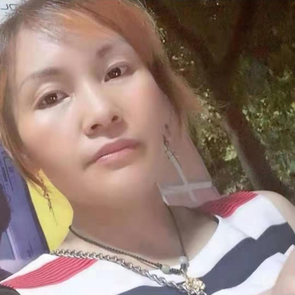 谁与大象的照片