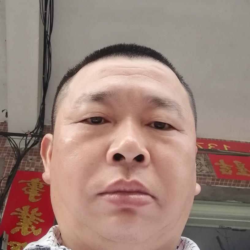 搞怪漫步小刺猬的照片