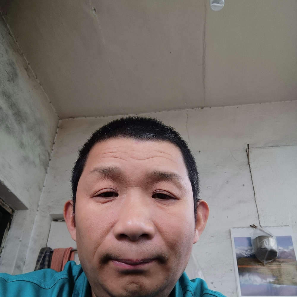 乌冬面还安详的照片