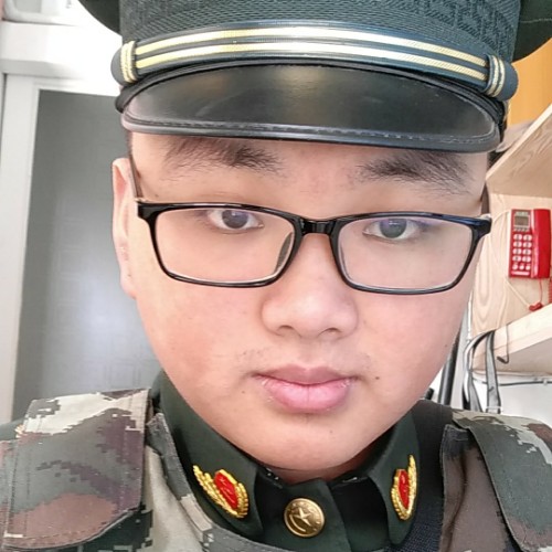 活在水里的鸟的照片