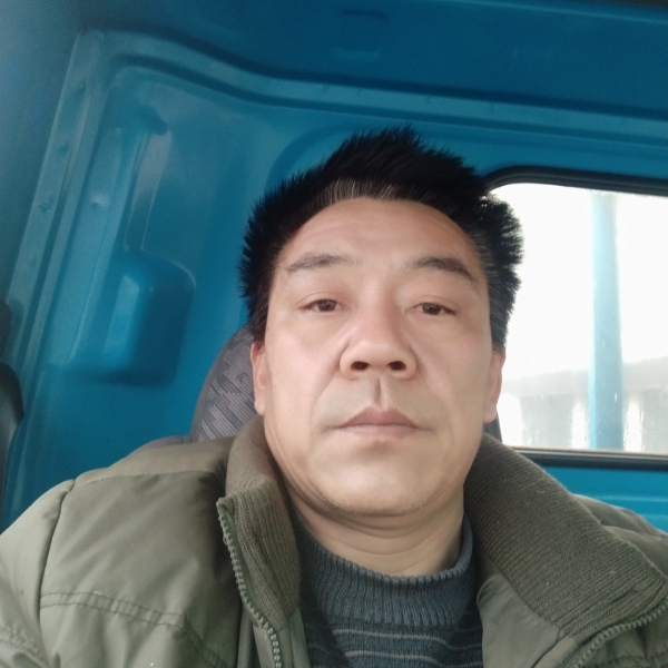 单身的向日葵。的照片