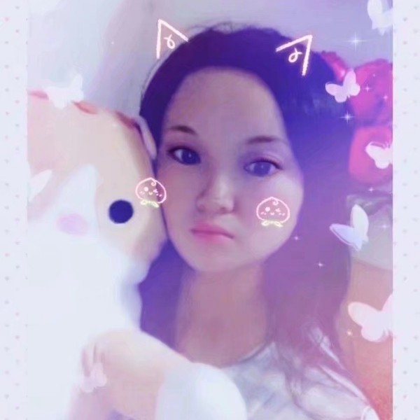 动人的小天鹅的照片