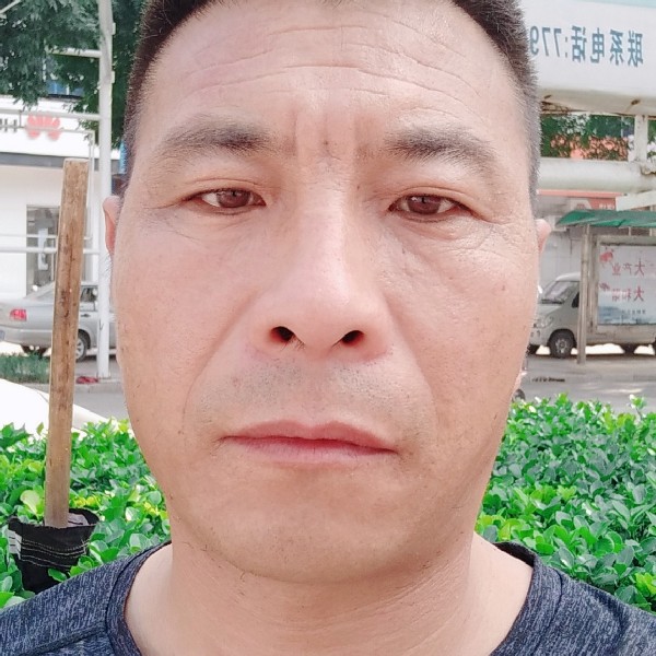 小蜜蜂停止沉默的照片