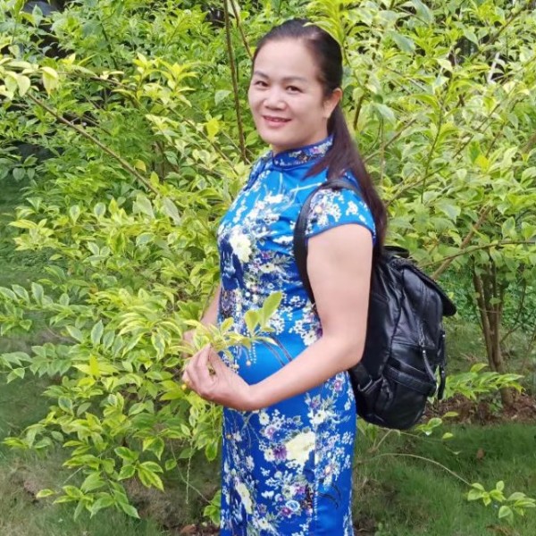 清曲繁荣的照片