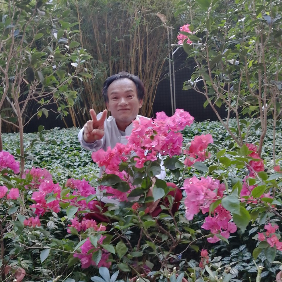 发带还不听话的的照片