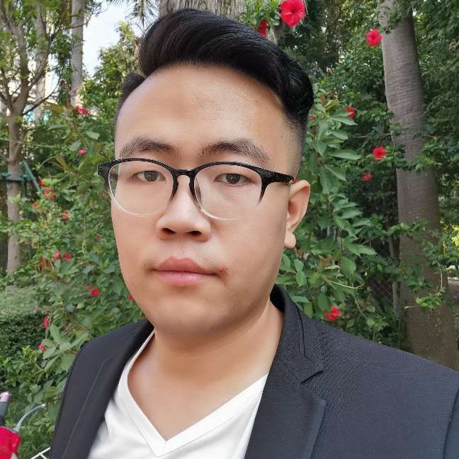 锦瑟演变華麗的照片