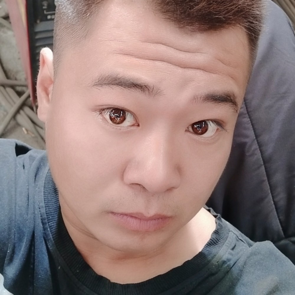搞怪小海豚的照片