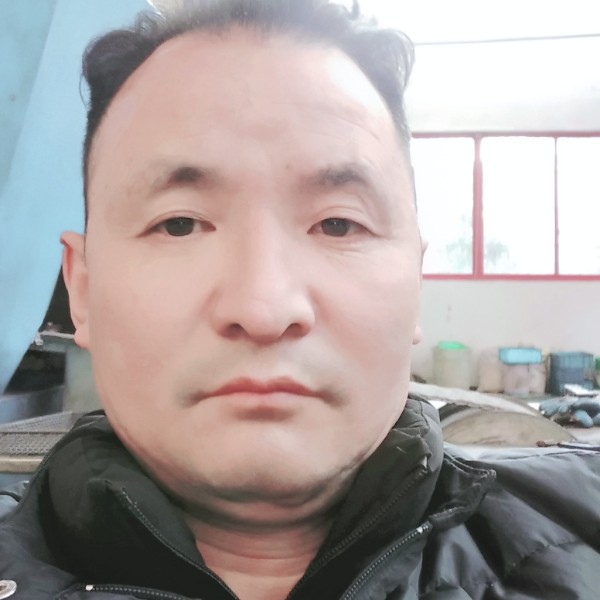 仙人掌等于贤惠的照片