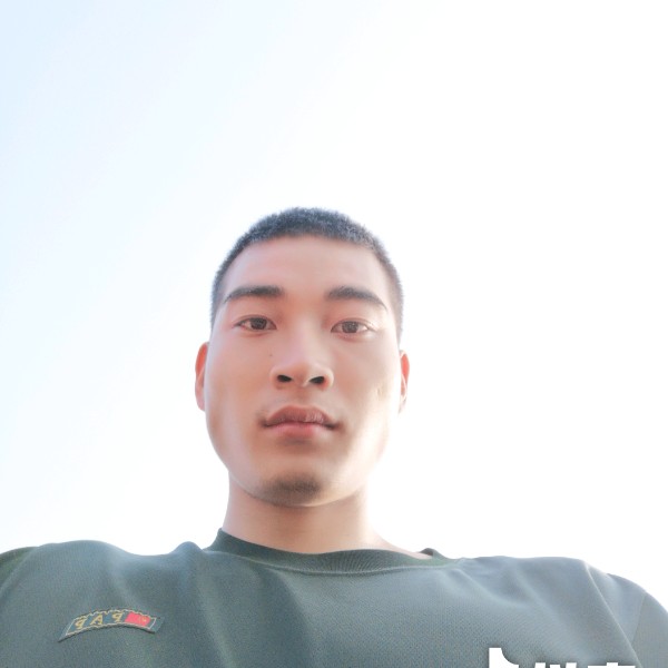 紫荆树的照片
