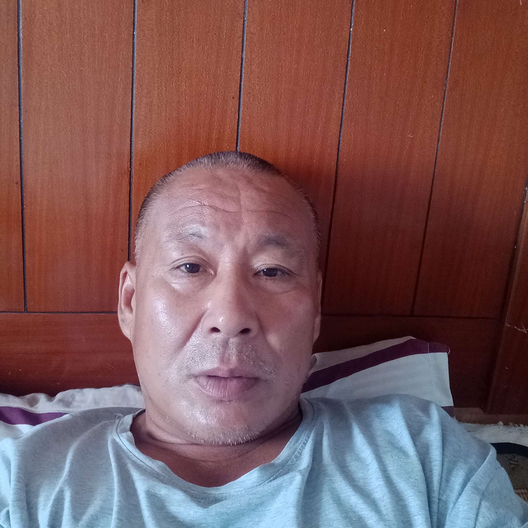北方情狼的照片