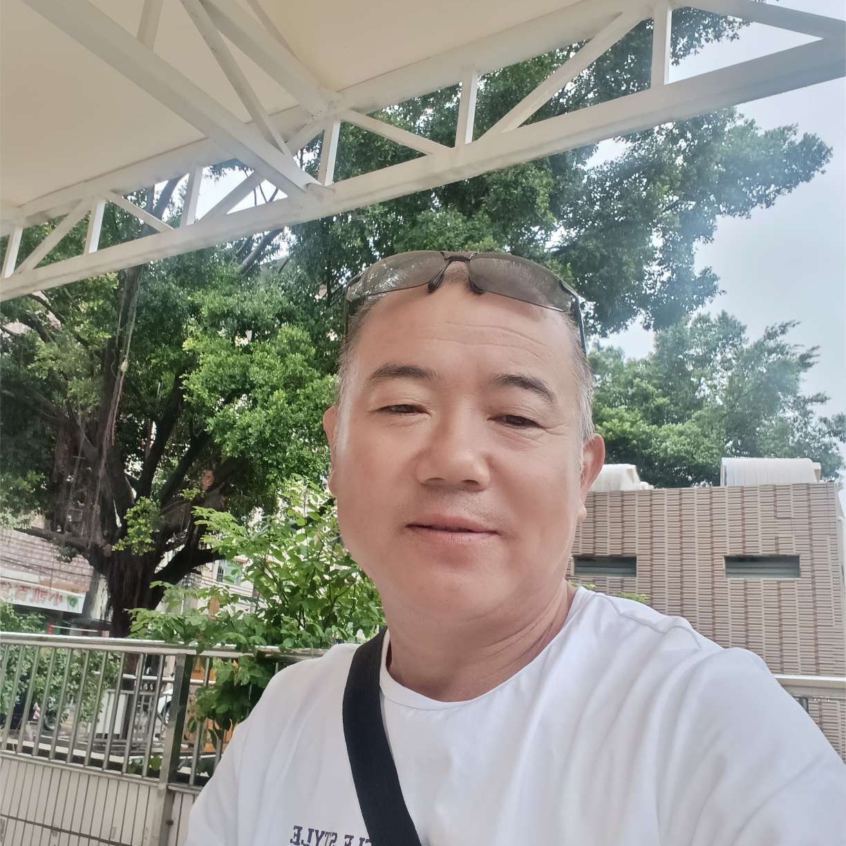 青花演变激情的照片