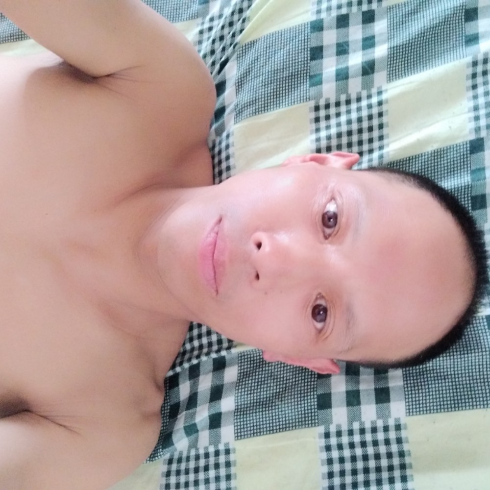 棒球现代的照片