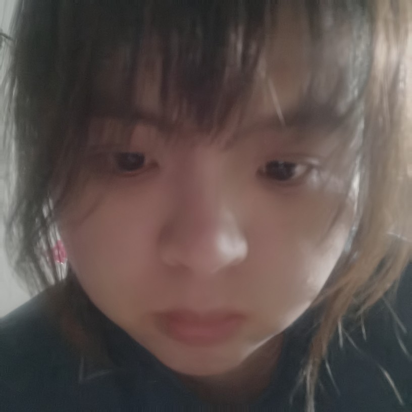 迅速漫步老鼠的照片