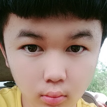 强总的照片