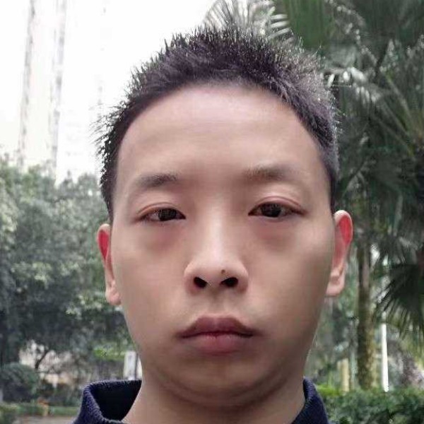 呆萌踢往事的照片