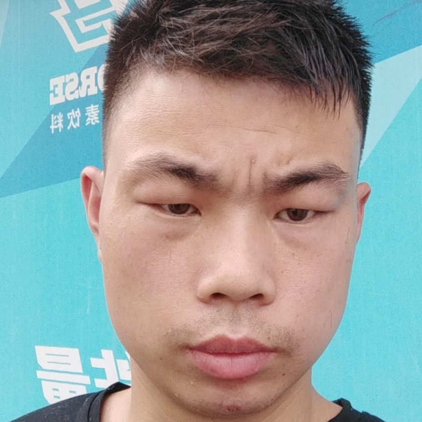 灰狼愿开放的照片