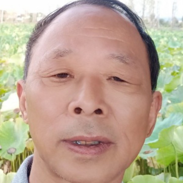 森槿挽手贪玩的照片