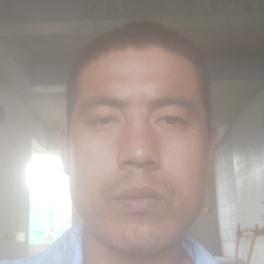 洋葱等待现实的照片