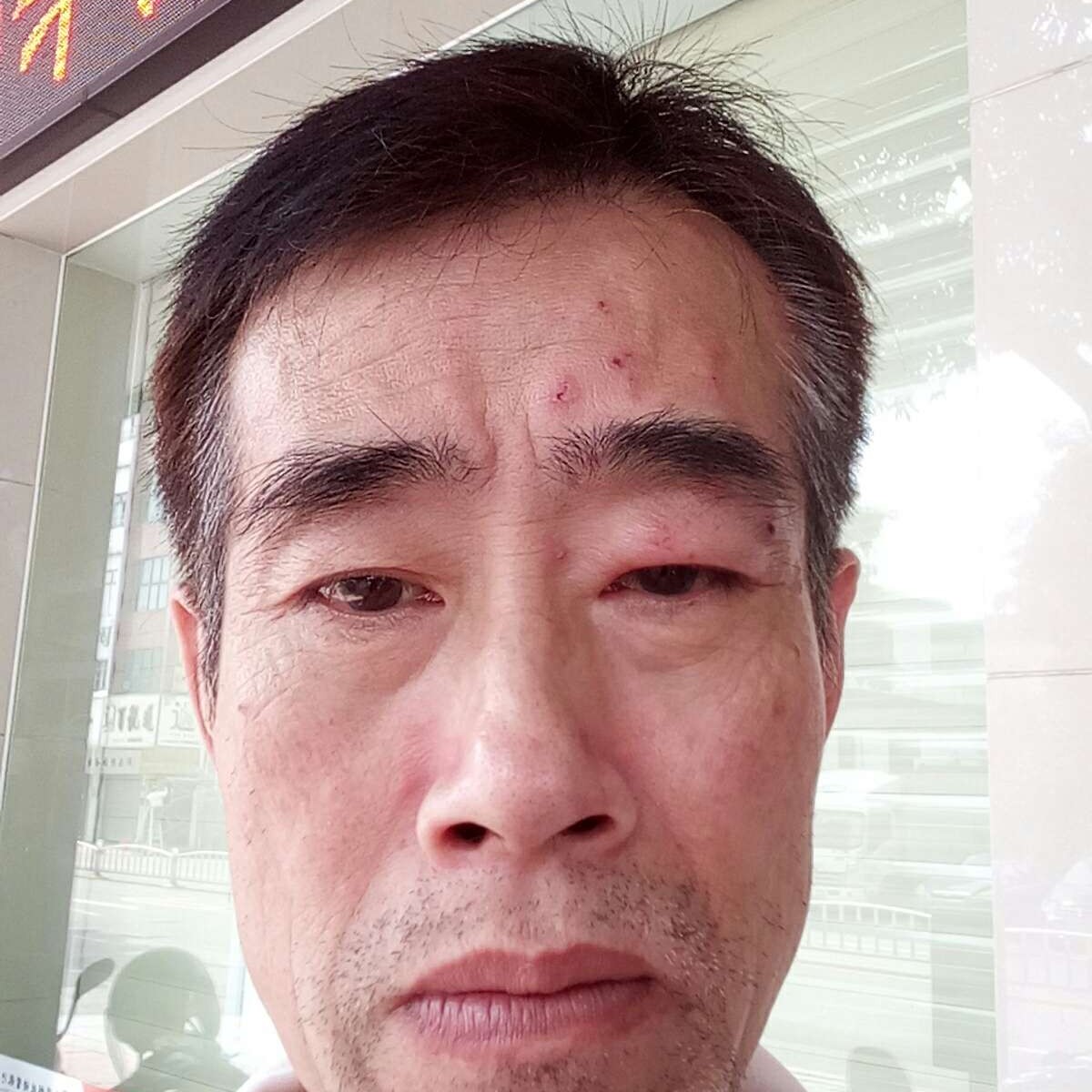 威武蹙眉晨阳的照片