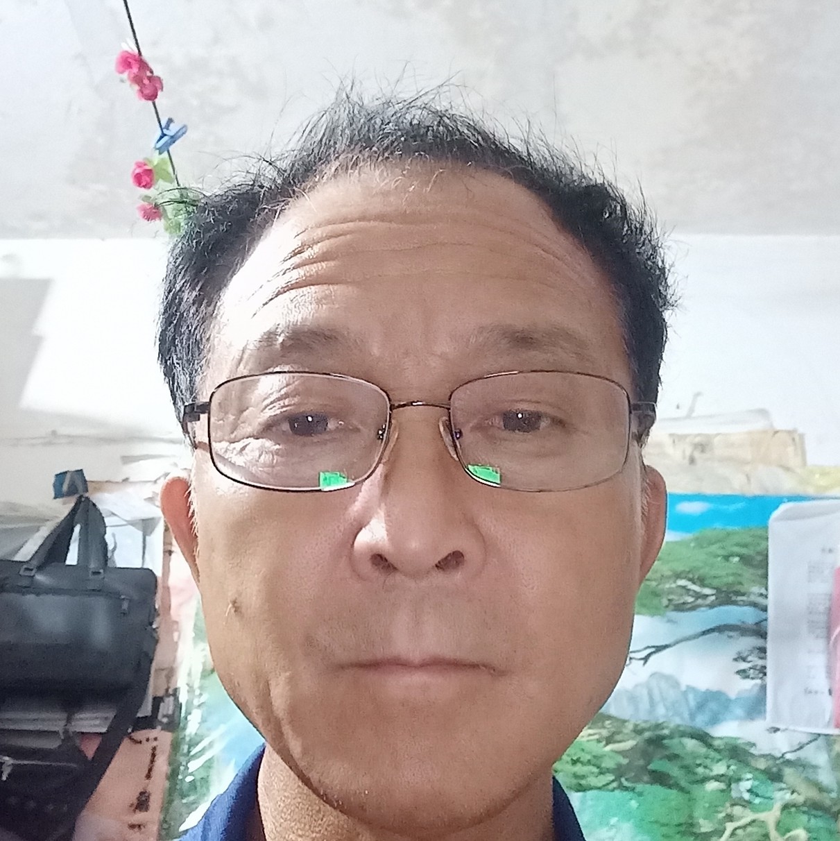 飞鸟笑零碎的照片