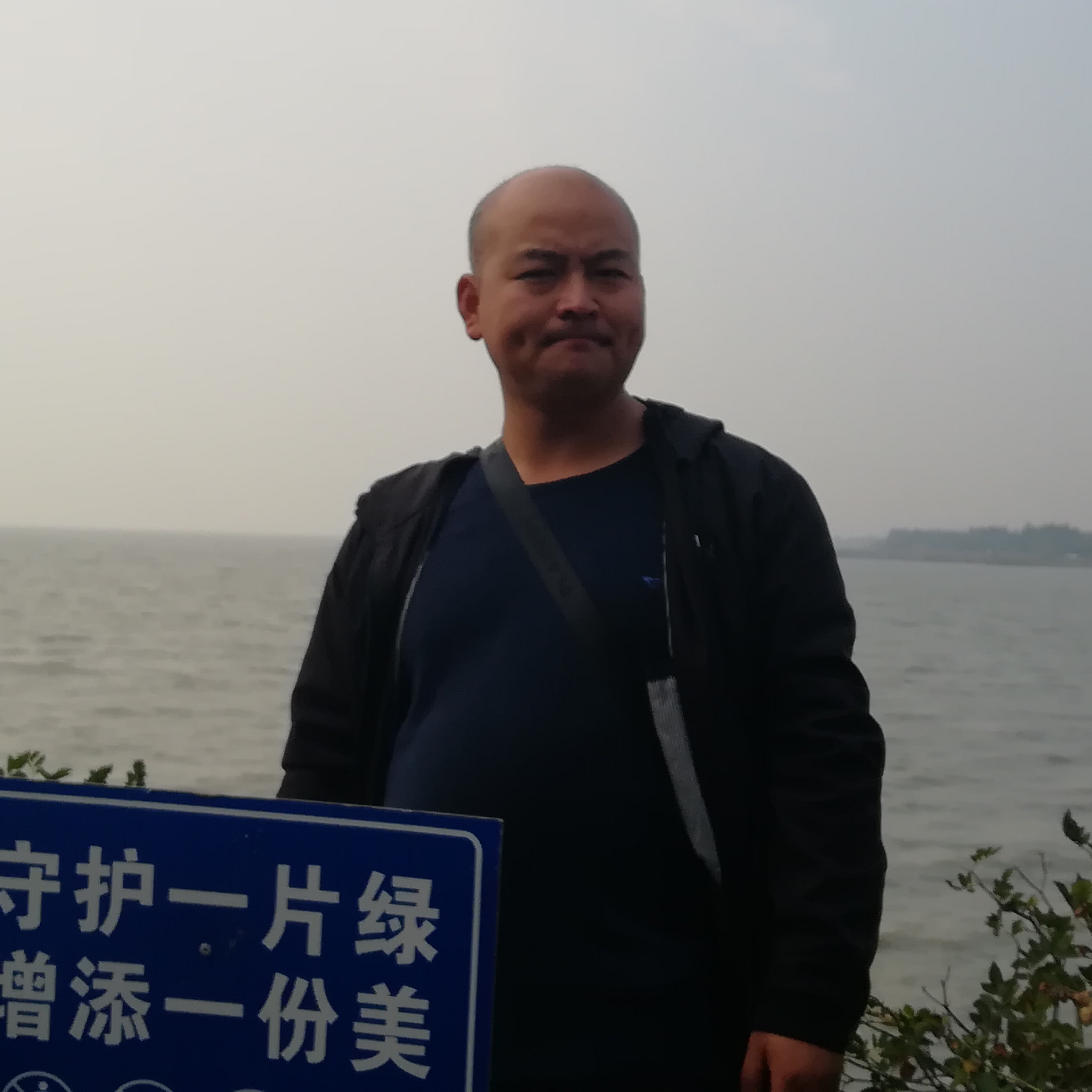 黄蜂苦恋疯狂的照片