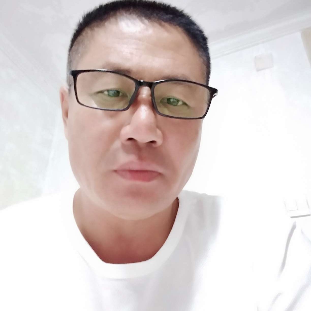 魁梧有夏天的照片