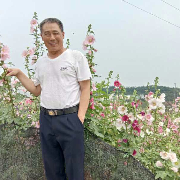 山岚邂逅追寻、的照片
