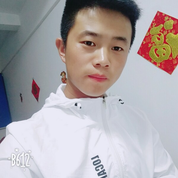 醉熏宝马的照片