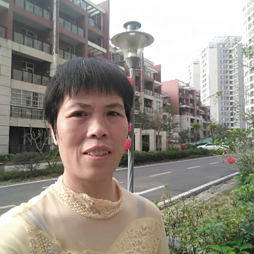 阳红的照片