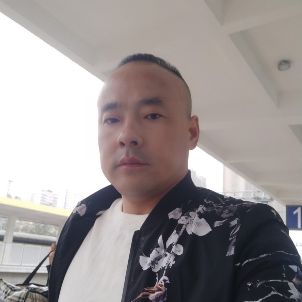 白昼陶醉的照片