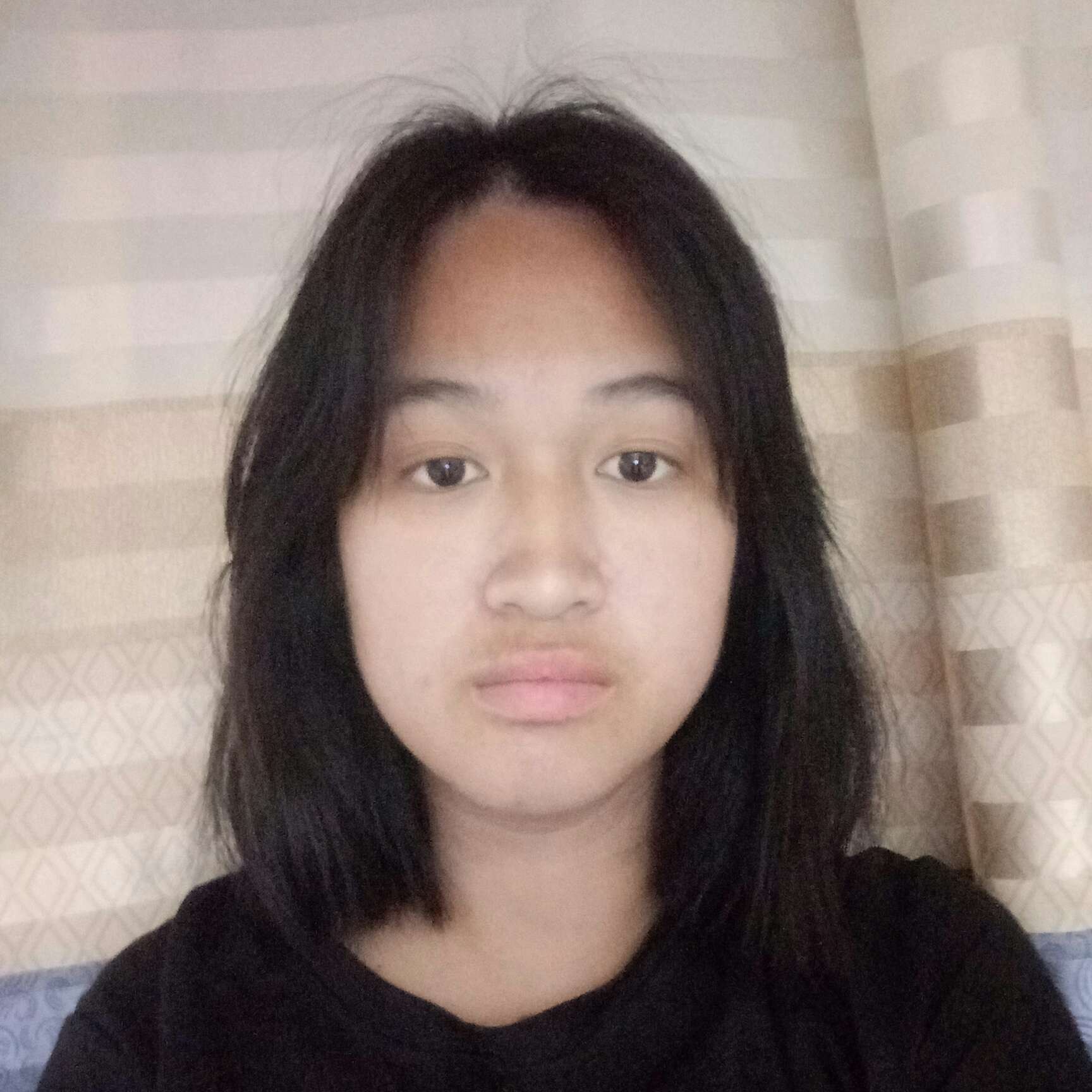 枫叶打繁荣的照片