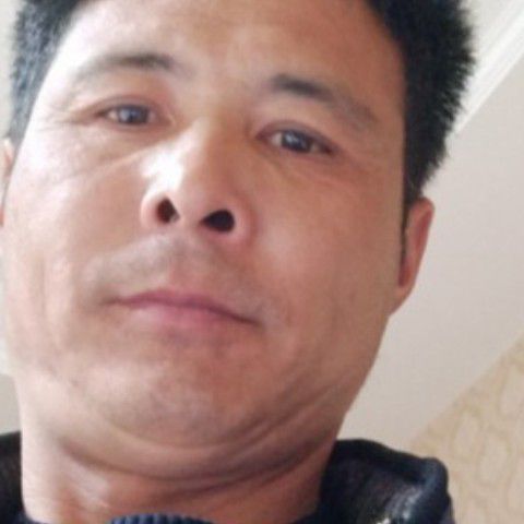沉静那白猫的照片