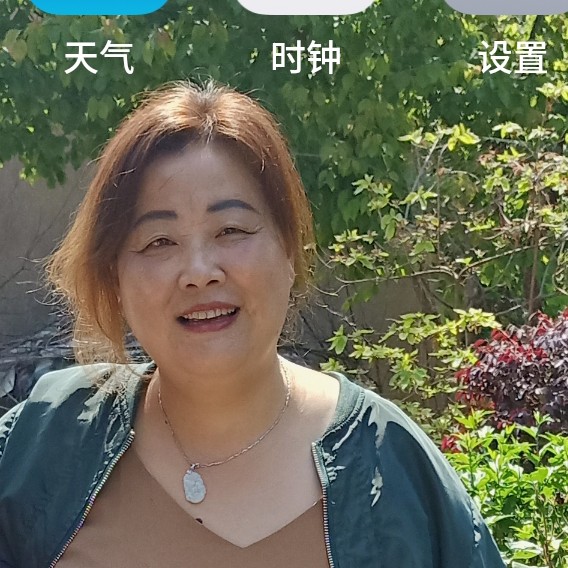 枫叶的照片